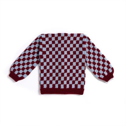 Caron Checkered Crochet Cardigan Version 2