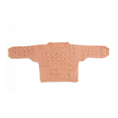 Caron Crochet Lace Motif Pullover Caron Crochet Lace Motif Pullover