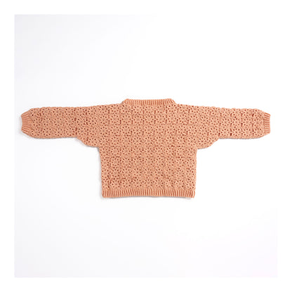 Caron Crochet Lace Motif Pullover Caron Crochet Lace Motif Pullover