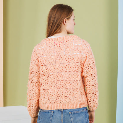 Caron Crochet Lace Motif Pullover Caron Crochet Lace Motif Pullover