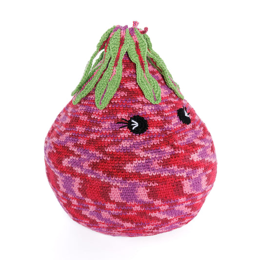 Caron Crochet Up-Beet Pillow