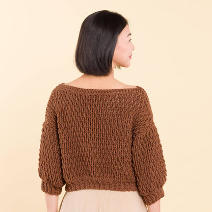 Caron Crochet Rocky Mountains Pullover Bronzite