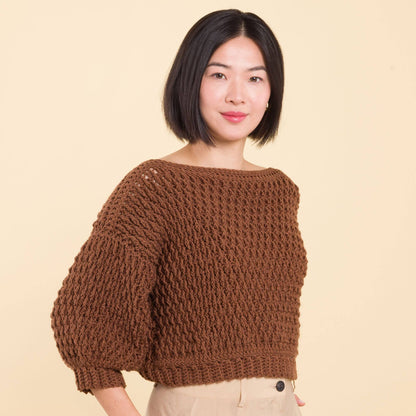 Caron Crochet Rocky Mountains Pullover Bronzite