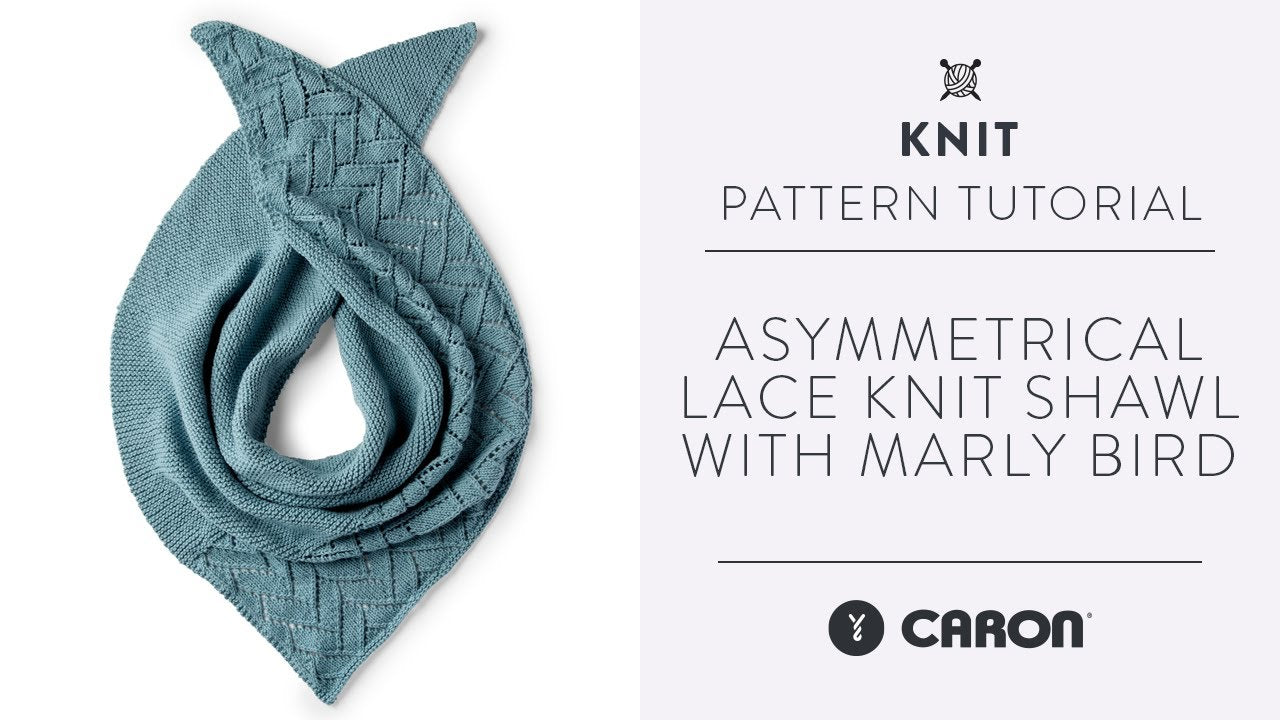 Caron Asymmetrical Lace Knit Shawl