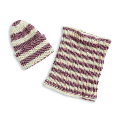 Caron Knit Hat & Cowl Knit Set Fig Swirl