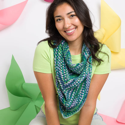 Caron Weekend Weave Knit Triangle Scarf Caron Weekend Weave Knit Triangle Scarf