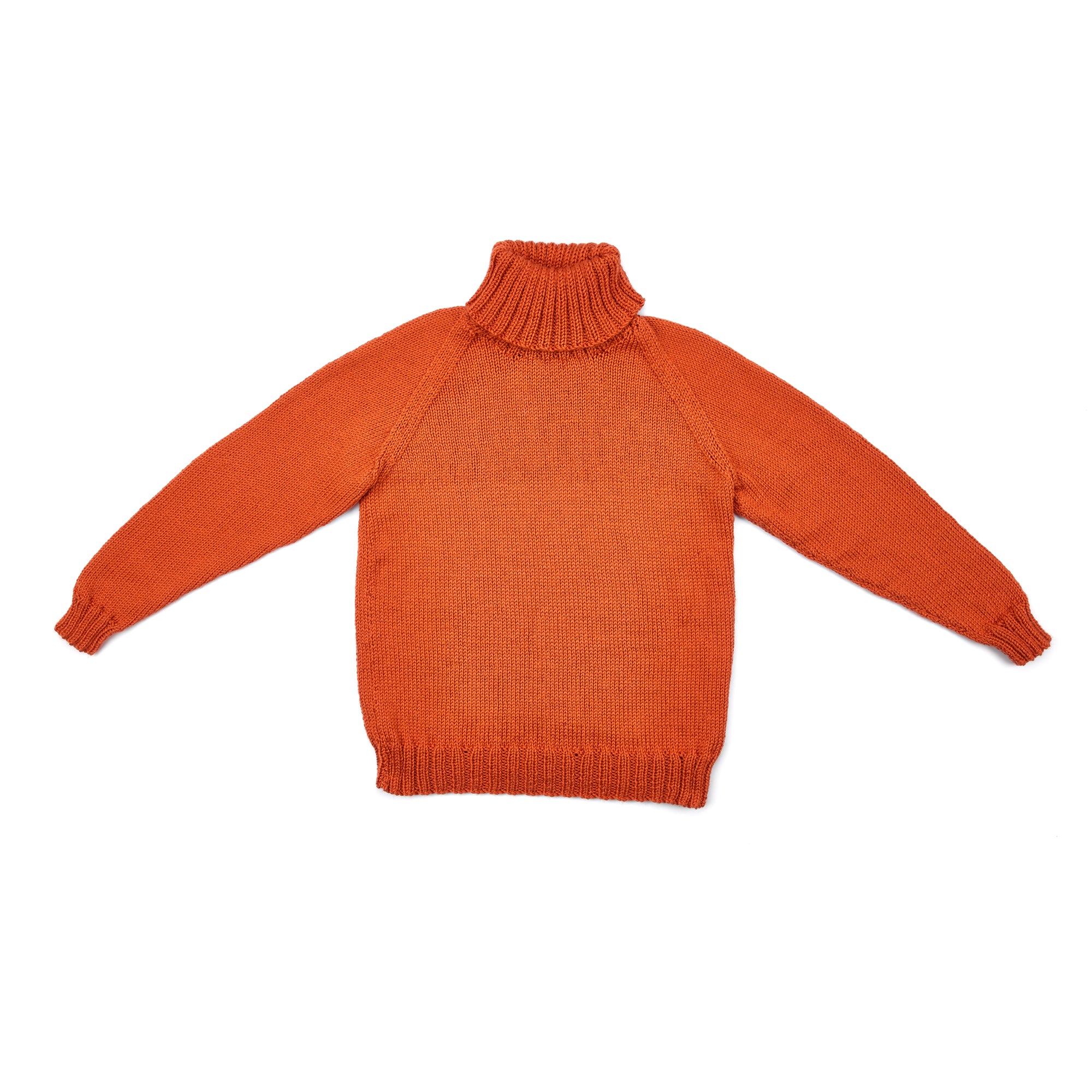 Free Easy Caron Adult Knit Turtle Neck Pullover Pattern