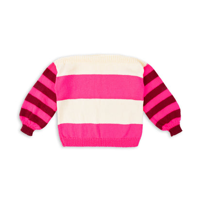 Caron Striped Harmony Beginner Knit Sweater Knit Sweater made in Caron Simply Soft Yarn