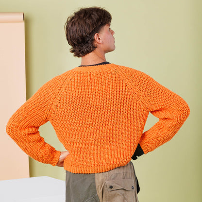 Caron Shake It Up Rib Knit Cardigan Mandarin
