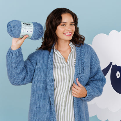 Caron All Day Wool Yarn (170g/6oz) All Variants
