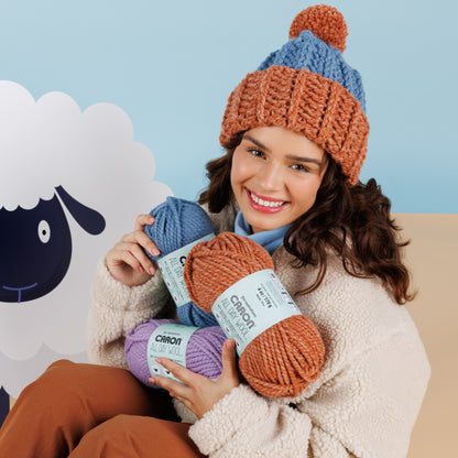 Caron All Day Wool Yarn (170g/6oz) All Variants