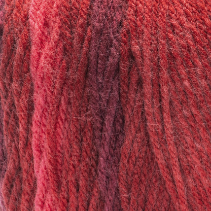 Red Heart Super Saver Ombre Yarn Tomato