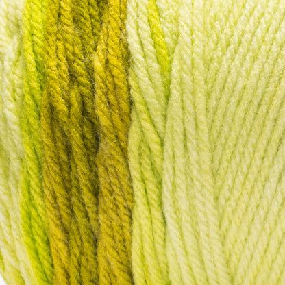 Red Heart Super Saver Ombre Yarn Lime