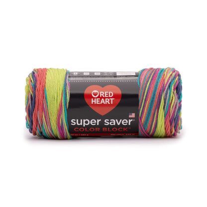 Red Heart Super Saver Color Block Yarn - Discontinued Shades Rainbow
