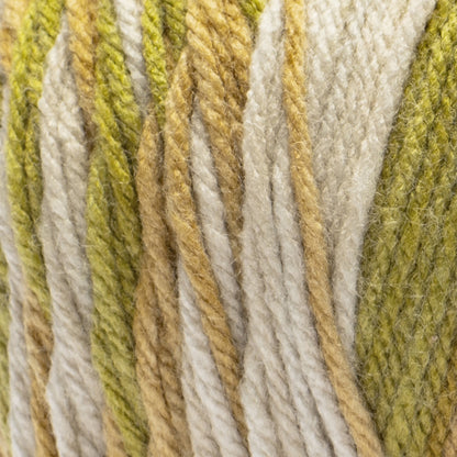 Red Heart All In One Sweet Hearts Yarn (250g/8.8oz) Heart Of Gold