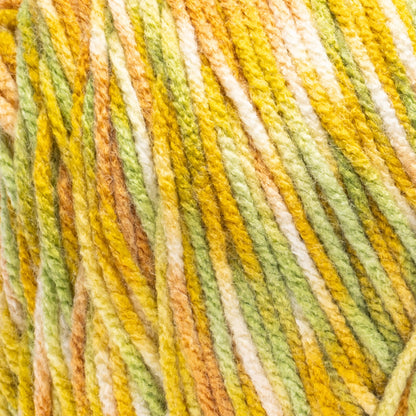 Red Heart Jazzy Yarn (250g/8.8oz) Citrus Combo