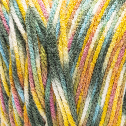 Red Heart Jazzy Yarn (250g/8.8oz) Flower Fields