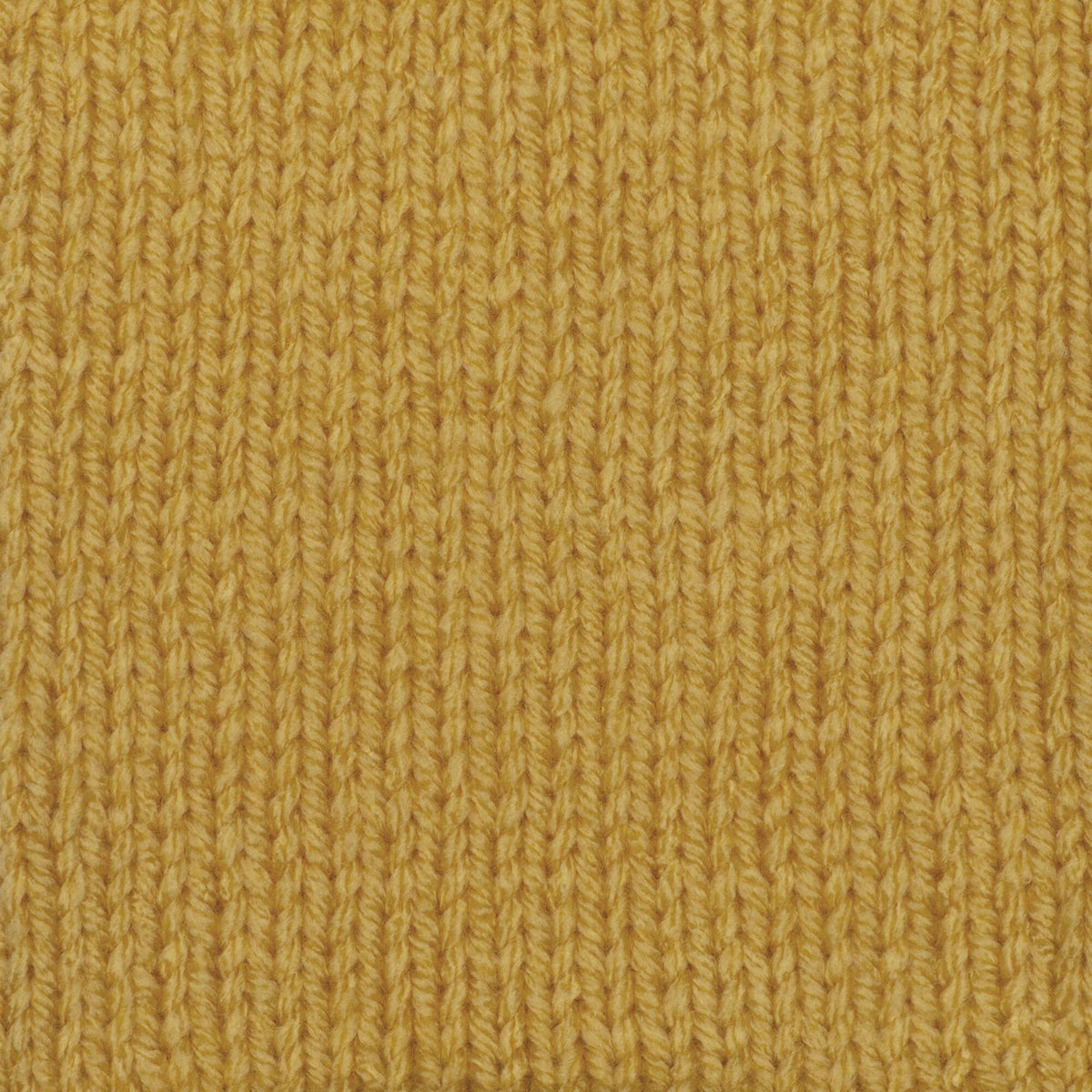 Cornsilk