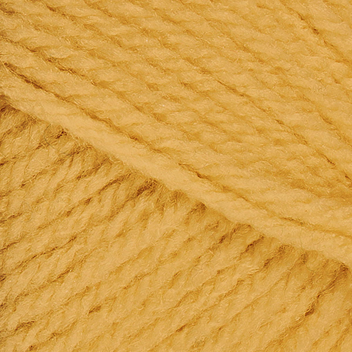 Cornsilk