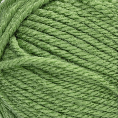 Red Heart Soft Yarn - Discontinued Shades Guacamole