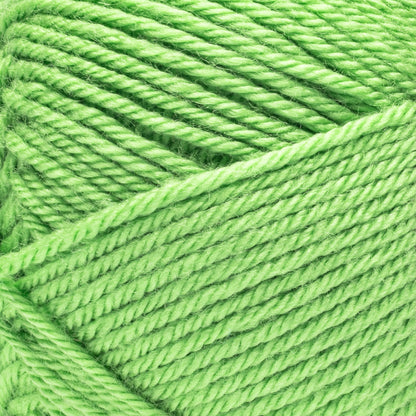 Red Heart Soft Yarn Grass