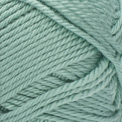 Red Heart Soft Yarn - Discontinued Shades Seafoam