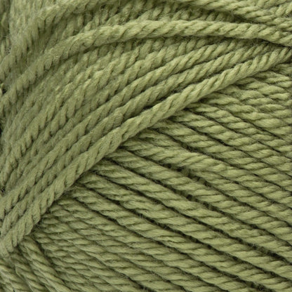 Red Heart Soft Yarn - Discontinued Shades Leaf