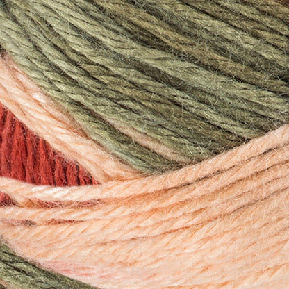 Red Heart Soft Yarn - Discontinued Shades Garden