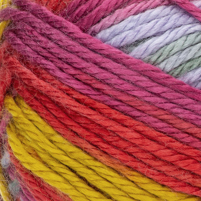 Red Heart Soft Yarn - Discontinued Shades Fantasy