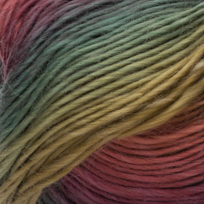 Red Heart Unforgettable Yarn - Discontinued Shades Polo