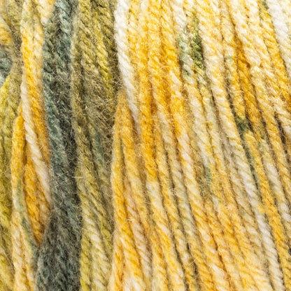 Red Heart Super Saver Bitty Stripes Yarn Cactus