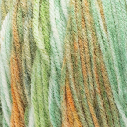 Red Heart Super Saver Bitty Stripes Yarn Lucky Day