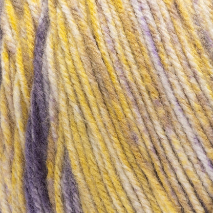 Red Heart Super Saver Bitty Stripes Yarn Iris Bloom