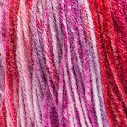 Red Heart Super Saver Bitty Stripes Yarn Rose Bouquet