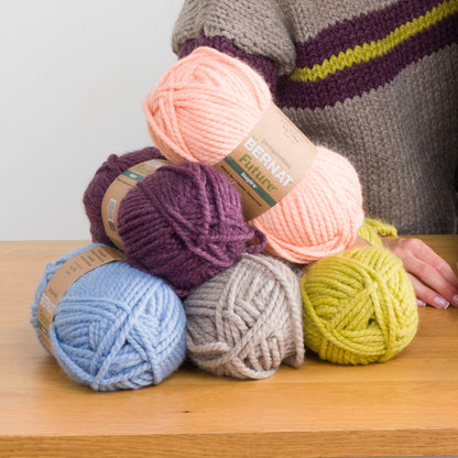 Bernat Future Inspire Yarn (170g/6oz) All Variants