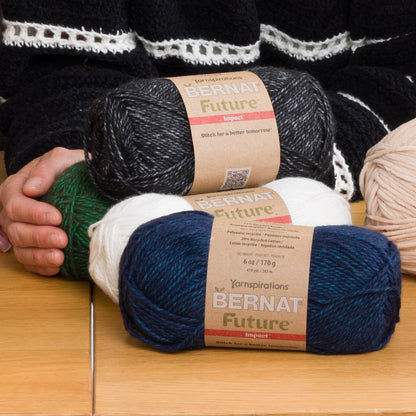 Bernat Future Impact Yarn (170g/6oz) All Variants