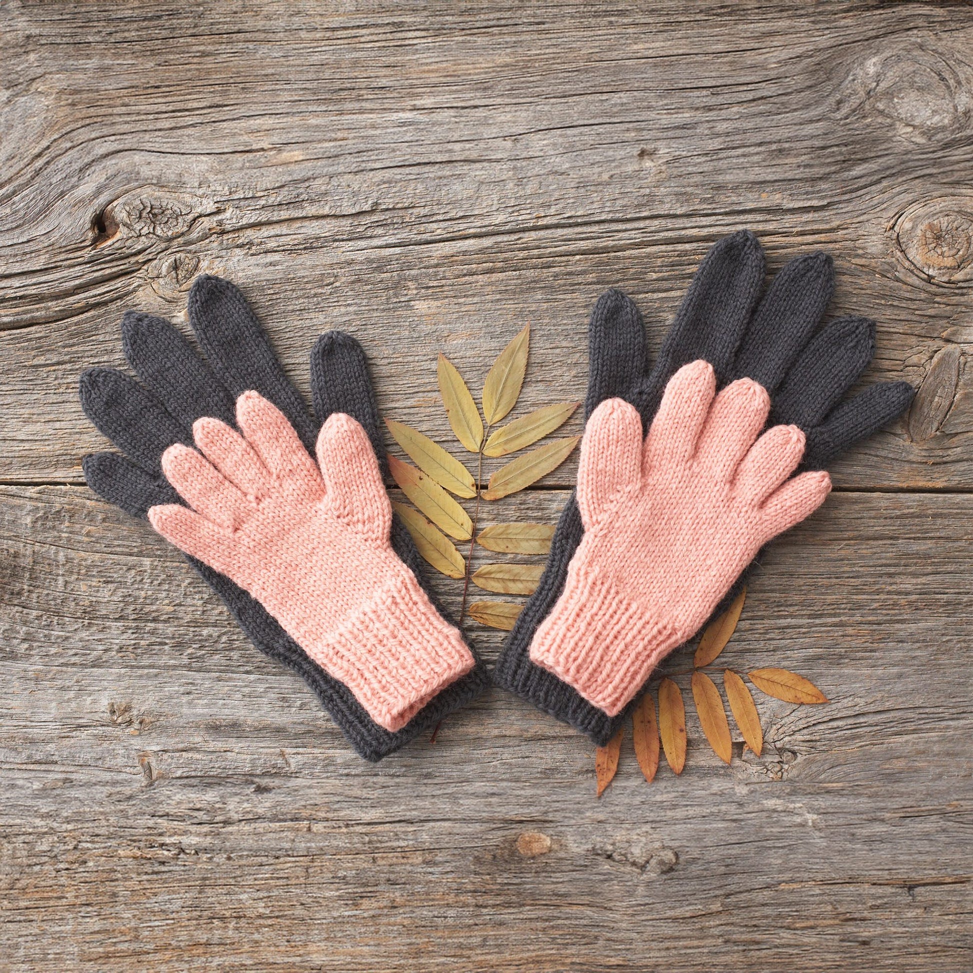 Free Patons In the Woods Family Knit Gloves Pattern