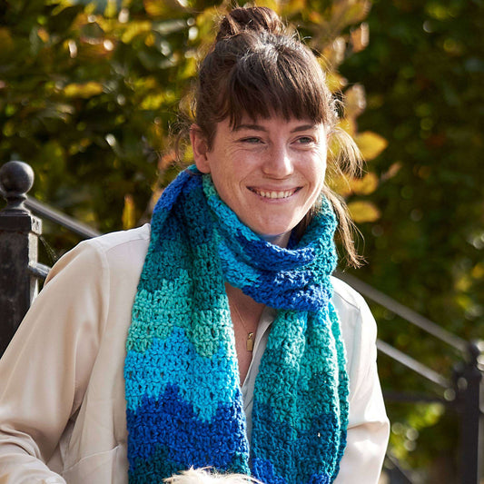 Crochet Scarf made in Red Heart Super Saver O'Go Yarn