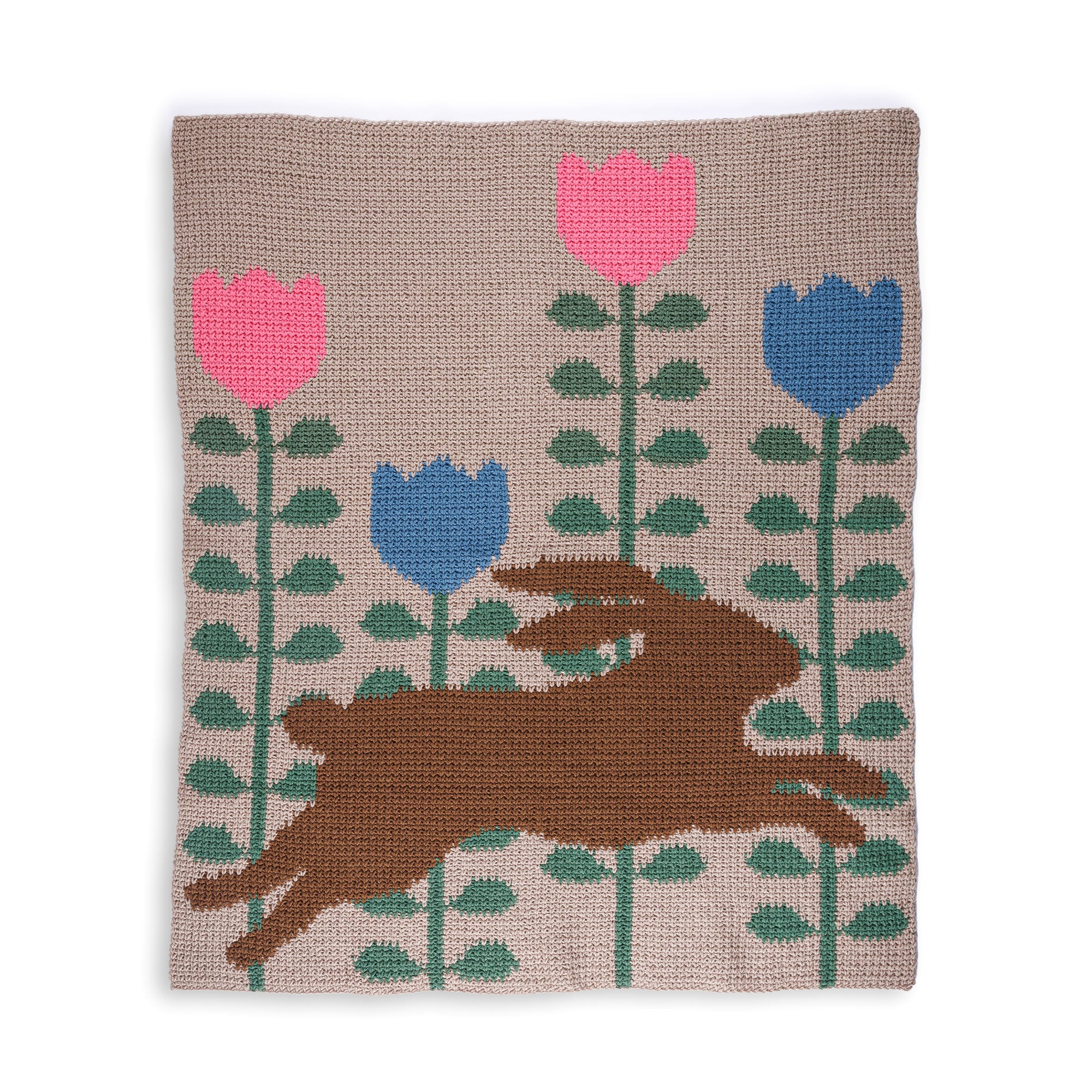 Free Intermediate Red Heart Leaping into Spring Crochet Blanket Pattern ...