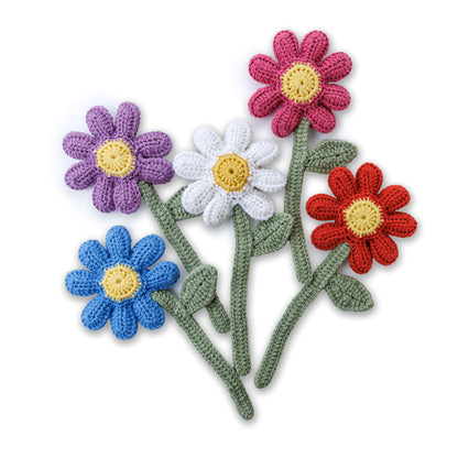 Red Heart Daisies for Days Crochet Flowers Version 2