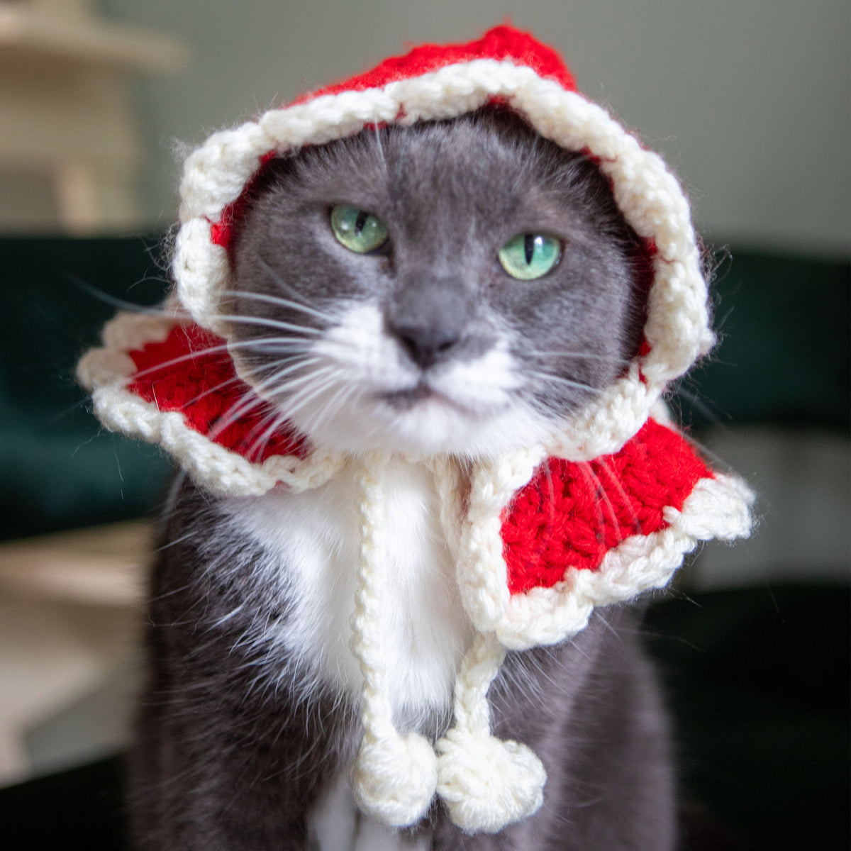 Crochet Cape made in Red Heart Super Saver Yarn