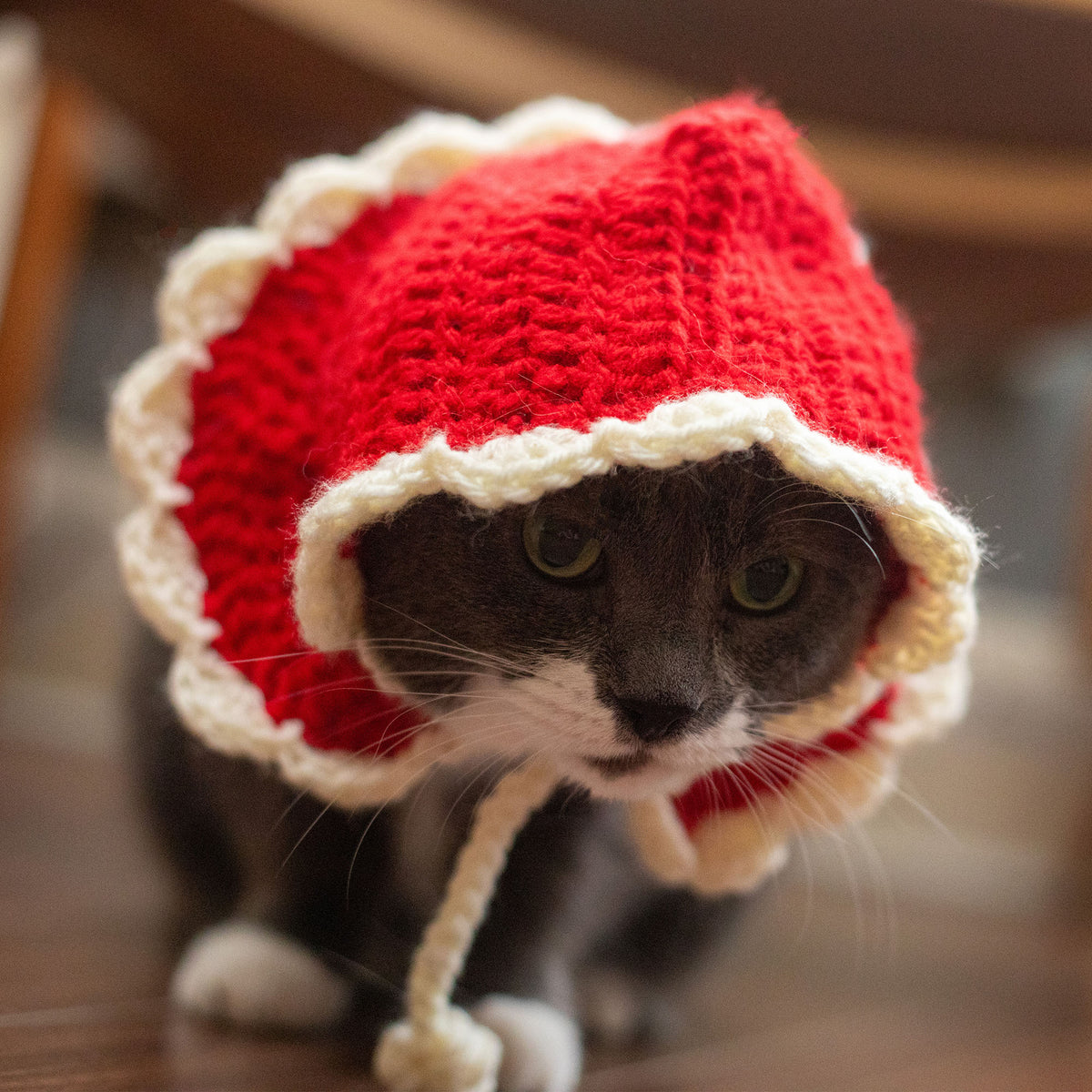 Crochet Cape made in Red Heart Super Saver Yarn