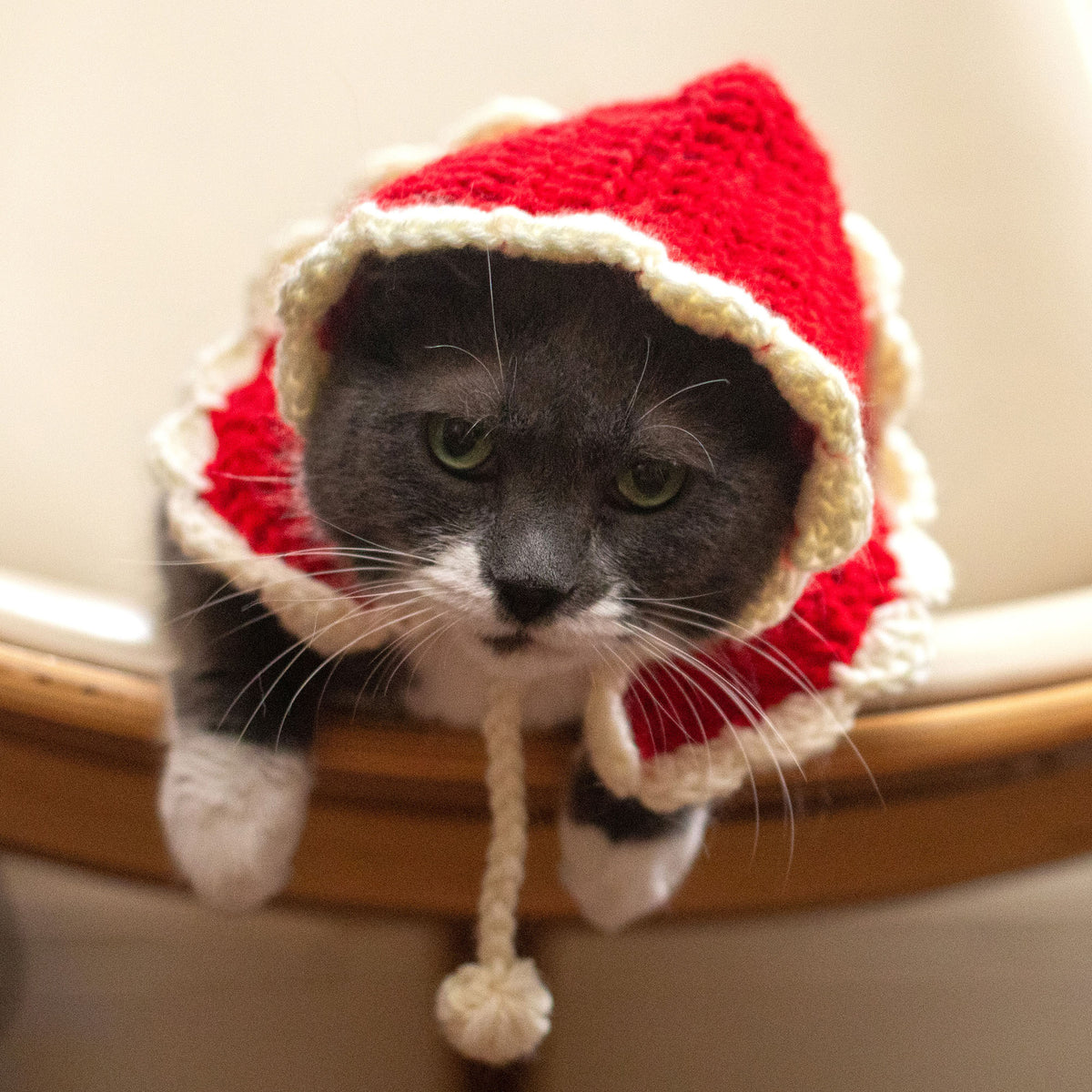 Crochet Cape made in Red Heart Super Saver Yarn