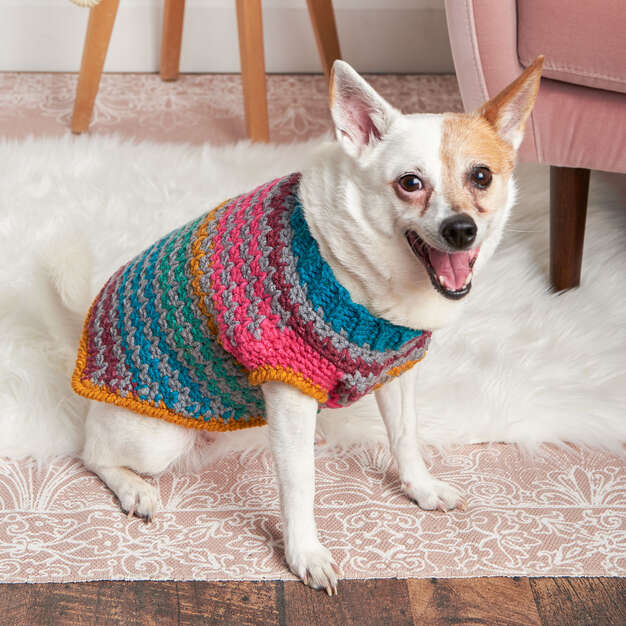 Free Easy Red Heart Dog Sweater Crochet Pattern | Yarnspirations Free Easy Red Heart Dog Sweater Crochet Pattern | Yarnspirations