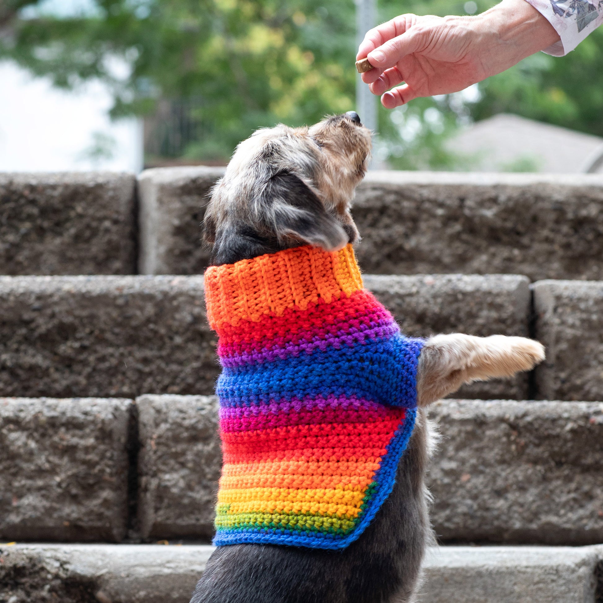 Free Red Heart Pup's Favorite Crochet Sweater Pattern