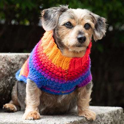 Red Heart Pup's Favorite Crochet Sweater Crochet Sweater made in Red Heart Super Saver Yarn