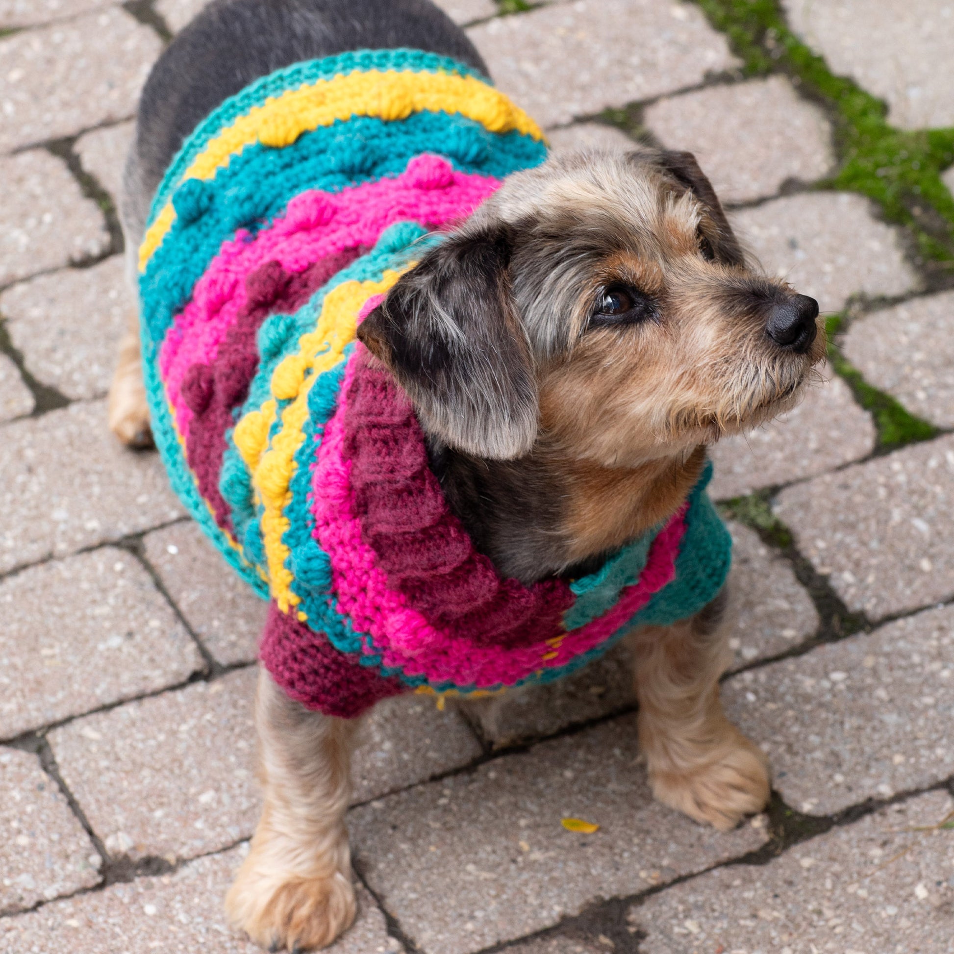 Free Red Heart Bits & Bobbles Crochet Dog Sweater Pattern