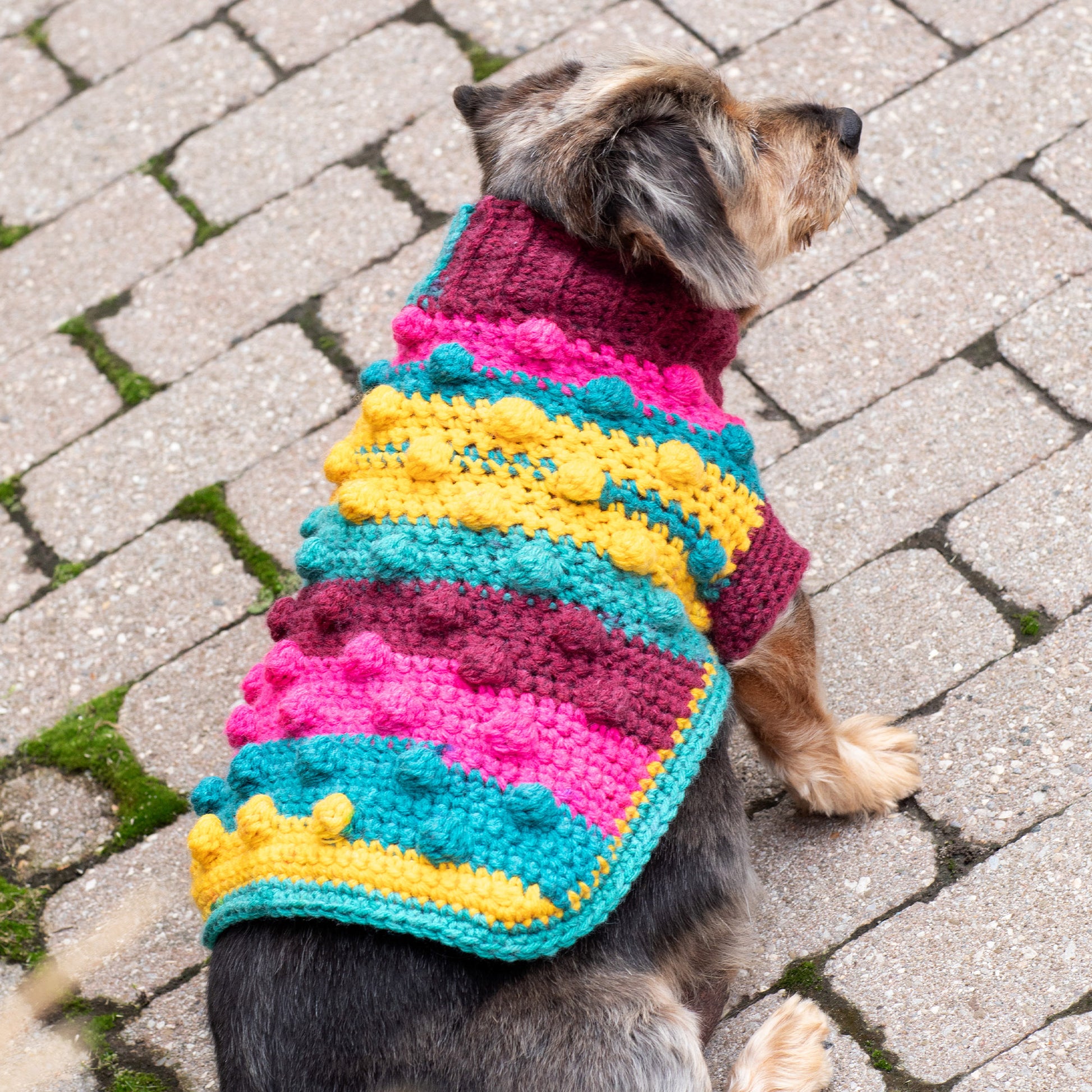 Free Red Heart Bits & Bobbles Crochet Dog Sweater Pattern