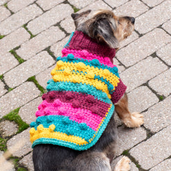 Free Red Heart Bits & Bobbles Crochet Dog Sweater Pattern | Yarnspirations