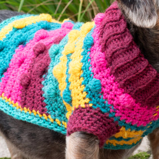 Free Red Heart Bits & Bobbles Crochet Dog Sweater Pattern | Yarnspirations